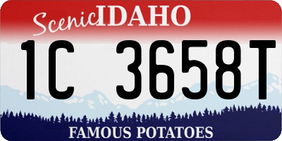 ID license plate 1C3658T