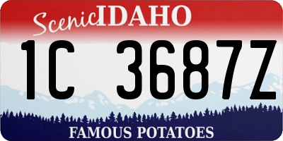 ID license plate 1C3687Z