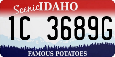 ID license plate 1C3689G
