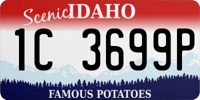 ID license plate 1C3699P