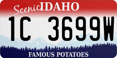ID license plate 1C3699W
