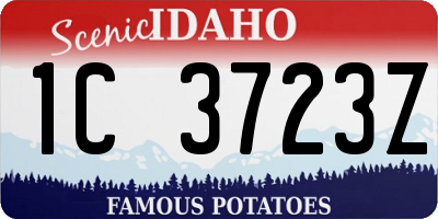 ID license plate 1C3723Z