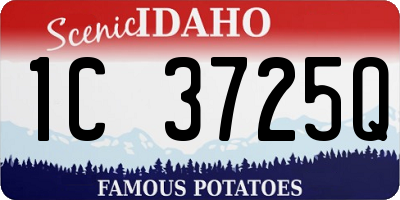 ID license plate 1C3725Q