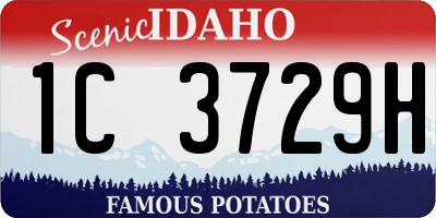 ID license plate 1C3729H