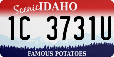 ID license plate 1C3731U