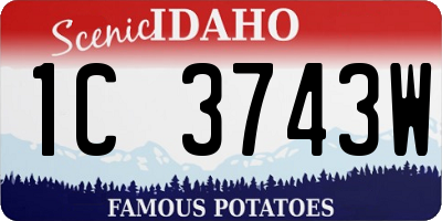 ID license plate 1C3743W