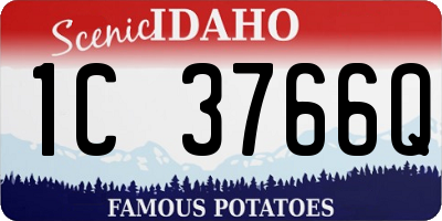ID license plate 1C3766Q