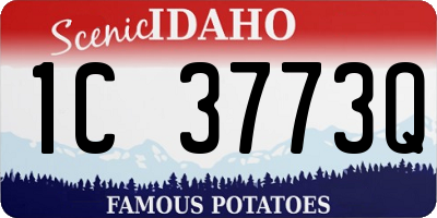 ID license plate 1C3773Q