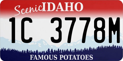 ID license plate 1C3778M