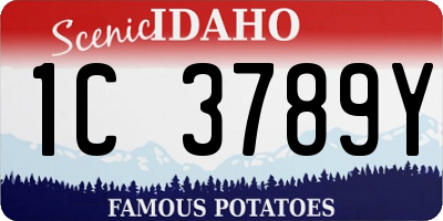 ID license plate 1C3789Y