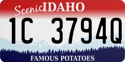 ID license plate 1C3794Q