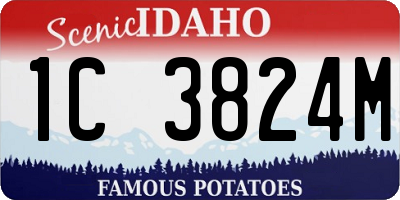 ID license plate 1C3824M