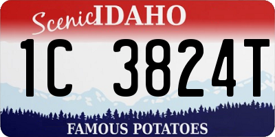ID license plate 1C3824T
