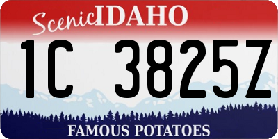 ID license plate 1C3825Z