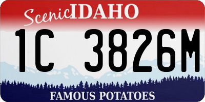 ID license plate 1C3826M