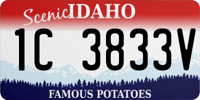 ID license plate 1C3833V