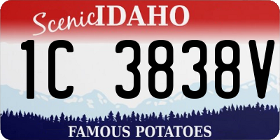 ID license plate 1C3838V