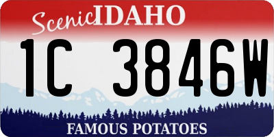 ID license plate 1C3846W