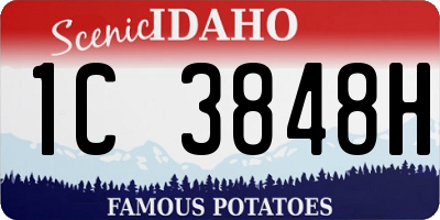 ID license plate 1C3848H