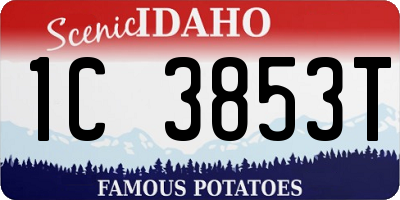 ID license plate 1C3853T