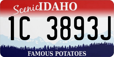 ID license plate 1C3893J