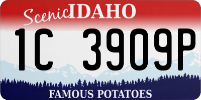 ID license plate 1C3909P