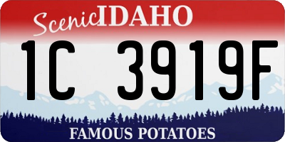 ID license plate 1C3919F