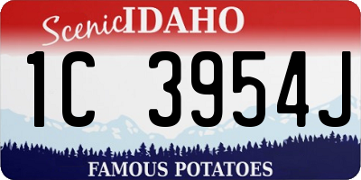 ID license plate 1C3954J