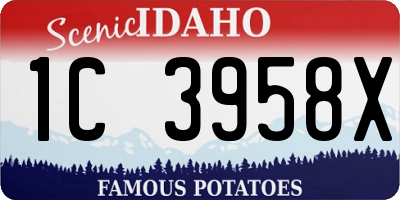 ID license plate 1C3958X