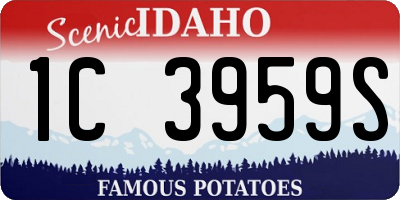 ID license plate 1C3959S