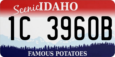 ID license plate 1C3960B