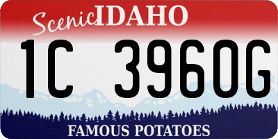 ID license plate 1C3960G