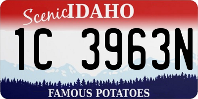 ID license plate 1C3963N