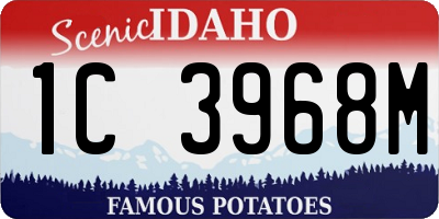 ID license plate 1C3968M