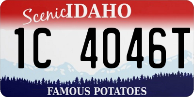 ID license plate 1C4046T