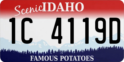 ID license plate 1C4119D