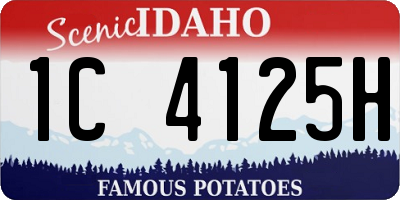 ID license plate 1C4125H