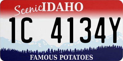 ID license plate 1C4134Y