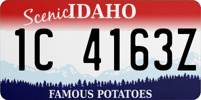 ID license plate 1C4163Z