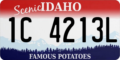 ID license plate 1C4213L