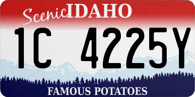 ID license plate 1C4225Y