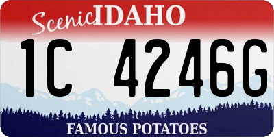 ID license plate 1C4246G