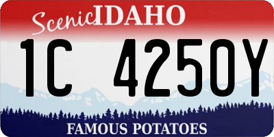 ID license plate 1C4250Y