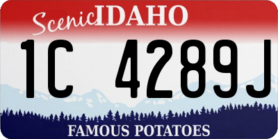 ID license plate 1C4289J