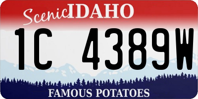 ID license plate 1C4389W