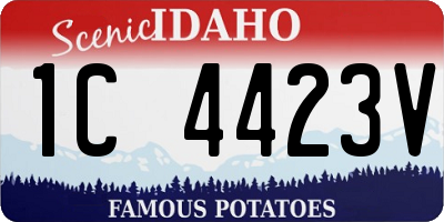 ID license plate 1C4423V