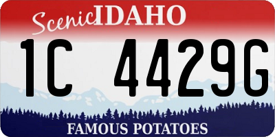 ID license plate 1C4429G