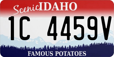 ID license plate 1C4459V