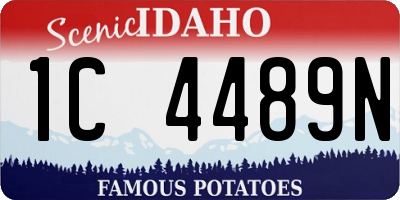 ID license plate 1C4489N