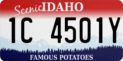 ID license plate 1C4501Y